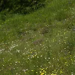 Cascina Marasca Sole