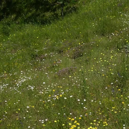 Cascina Marasca Sole