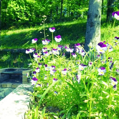Cascina Marasca Sole Daire