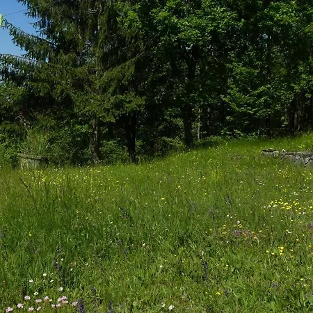 Daire Cascina Marasca Sole *