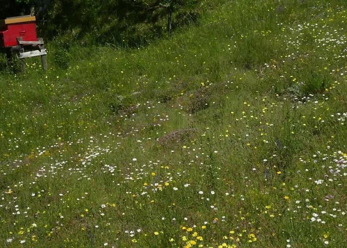 Cascina Marasca Sole