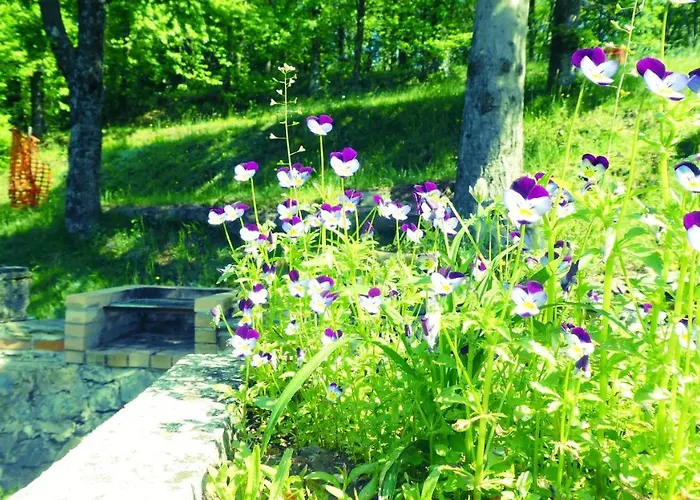 Cascina Marasca Sole Apartamento